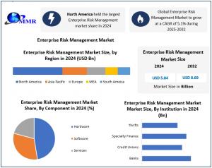 Enterprise Risk Management Market