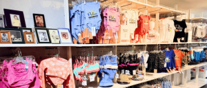 Retail display of colorful children's clothing, including shirts and swimwear, with framed photos on the top shelf.