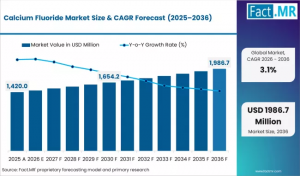 Calcium Fluoride Market