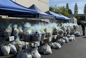 Hundreds of packed baskets: The Spring Basket of Miracles was filled with household necessities, fresh produce, cleaning supplies, and thoughtful seasonal gifts for children and their families, each accompanied by handwritten messages of encouragement.