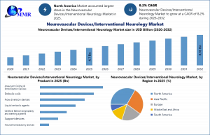 Neurovascular Devices/Interventional Neurology Market
