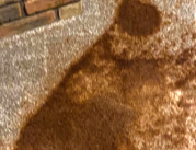 Accidental damage sq