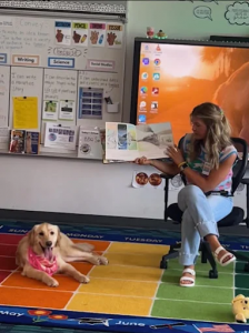 Off Leash K9 Santa Rosa