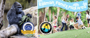 Left: Gorilla holding branches with CAC Autism certification badge; Right: Children playing under a banner at Santa Barbara Zoo's Kallman Family Play Area.