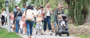 A diverse group of people, including adults and children, walking along a paved path with greenery and cacti on one side.