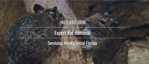 Animal Control Central FL