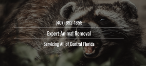 Animal Control Southwest FL