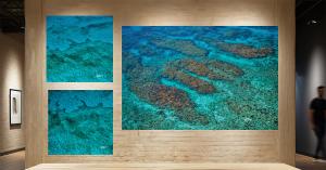 Museum wall displaying Looe Key Key West aerial fine art photography by Doreen McGunagle