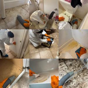 SERVPRO of Tampa East Central Temple Terrace biohazard cleanup technicians in white protective suits and orange gloves performing contamination removal and pathogen cleanup inside residential property in Tampa Florida
