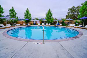 Round swimming pool surrounded by lounge chairs with trees in distance