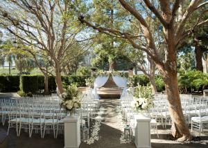 Urban Oasis Wedding