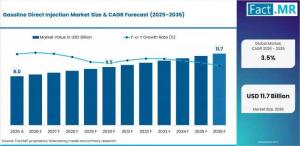 Gasoline Direct Injection Market
