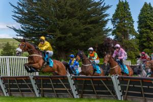 horses jumping over a fence at Cartmel racecourse