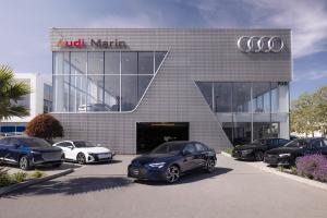 Audi Marin