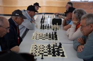 Therapeutic chess program for Parkinson’s patients by Chesscul