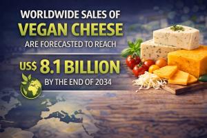 Vegan Cheese Market