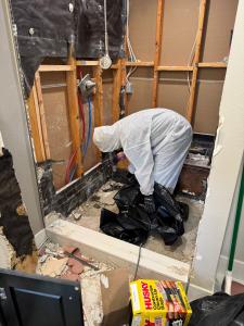 mold removal Los Angeles technician removing mold from damaged wall