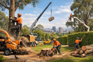 Tree Maintenance in Suburban Adelaide