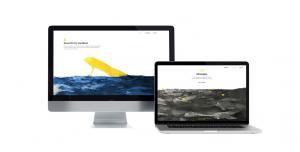 Winning Web Design Submission for the Lounge Lizard Web Design Contest