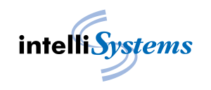 IntelliSystems, IT and cybersecurity