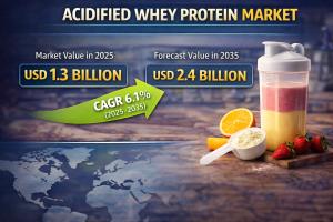 Acidified Whey Protein Market