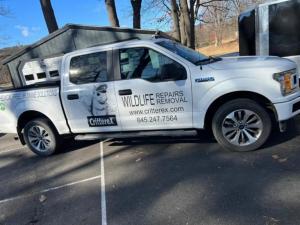 pest control Hudson Valley