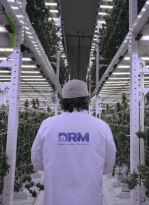This is an image of a man in an indoor cannabis cultivation facility.