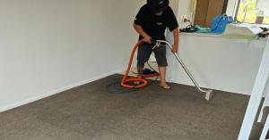 Carpet Cleaning Auckland