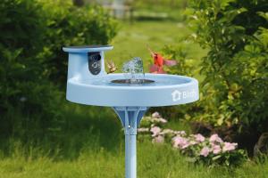 The Birdfy Bath Pro, an AI-powered and solar-powered smart “puddle.”