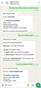 BigMind Ops WhatsApp conversation showing document search, storage breakdown with Hot Cold and Deep Freeze tiers, and backup monitoring