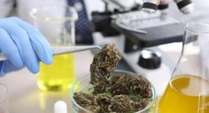  All products undergo state testing before being sold at retail dispensaries across the state of Arizona. Photo courtesy of Smithers Lab.