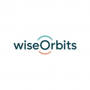 WiseOrbits career test