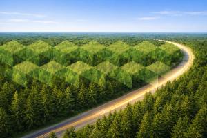 Parkpine's autonomous companies fund and the realities of government contracting.