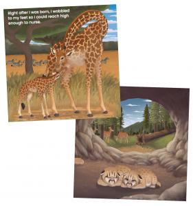 Two pictures show mammal babies from the book. On the top/left, a newborn giraffe nurses from its mother as zebras pass in the background. On the right/bottom, two tiny cougar cubs nap in a cave, deer and birds outside of the cave behind them.