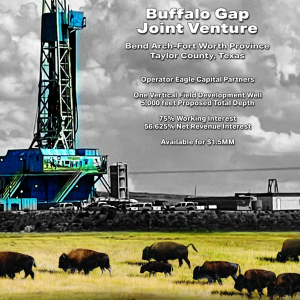 Buffalo Gap Joint Venture