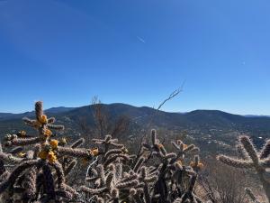 Hills near Silver City, NM.