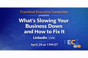 LinkedIn Live with Fractional Executive Connection