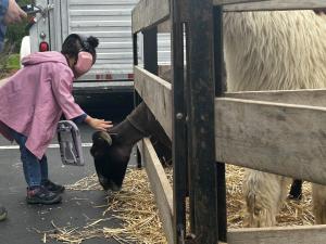 A young girl in a pink hoodie and pink noise-canceling headphones leans forward to pet a dark-colored goat through the slats of a wooden fence, with straw on the ground and a white goat visible nearby.