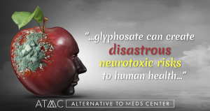 Concept image of a human head shaped like a red apple with mold, symbolizing glyphosate-related neurotoxic risks to human health