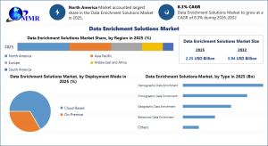 Data Enrichment Solutions Market