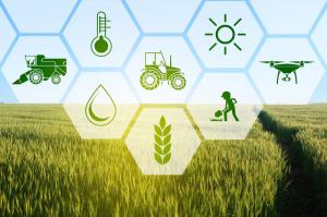 Blockchain in Agriculture Market