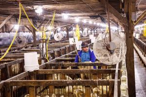 Foie Gras Farm Feb 18th 2026