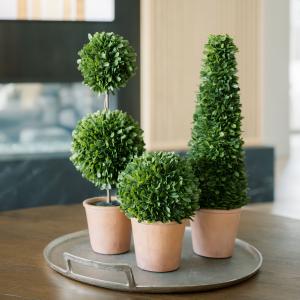 Faux boxwood topiary plants in terracotta pots styled on a tray, featuring round and cone shapes in a modern interior setting.