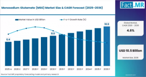 Monosodium Glutamate (MSG) Market