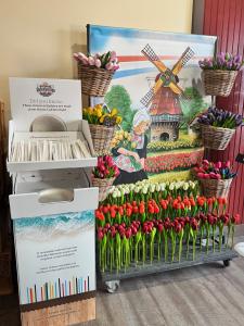 A Dutch‑themed shop display with bright wooden tulips in baskets and a backdrop of a windmill and a woman in traditional attire. A prominent sign showcases NantBioRenewables’ compostable straws and plates made from Ocean Calcium Sand, promoting the park’s