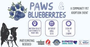 Paws & Blueberries” Pet Adoption Event in Mount Dora