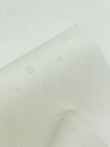 Latitude Water Droplets