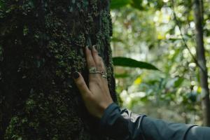 "Our Power" to protect begins with a personal connection to "Our Planet." A tactile moment in a Brazilian rainforest, where ecotourism empowers travelers to physically bond with the very nature they are protecting. Credit: Photo by Isadora Sá / PlanetaEXO