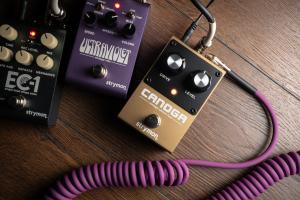 Canoga on the ground with a classic curly purple guitar cable encircling it