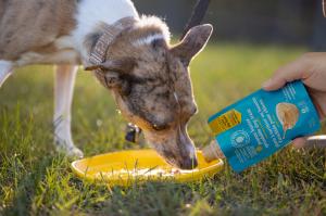 One way to use the Peanut Butter Spreadable Dog Treat is to spread it on a lick mat, which can help calm dogs and relieve anxiety.